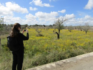 IMG_4446 (Medium)